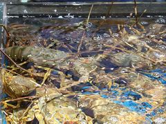 -徐记海鲜(大雁塔|金都店)
