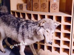 -老阿妈蒙古村·蒙古包·草原文化·歌舞表演(老君堂店)