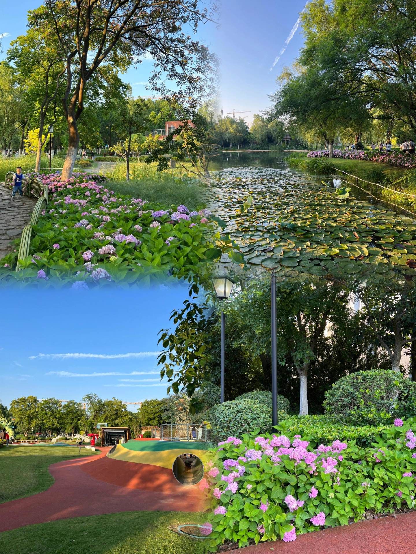 下雨也去逛花冲公园了,在公园门口的摊位