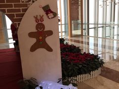 -视界美食自助餐厅·石家庄希尔顿酒店