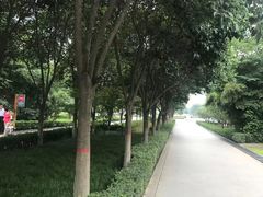 -木塔寺遗址生态公园