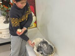-共舞时光猫咖·狗咖(新街口店)