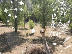 -大连森林动物园