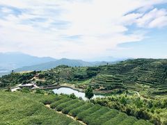-军营村