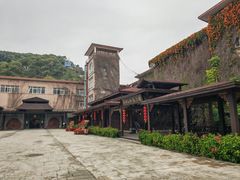 -东南花都花博园