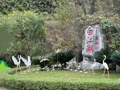 -广州白江湖森林公园