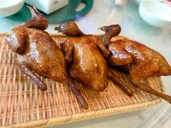 -五谷芳乳鸽王(梅沙老店)