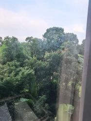-嘉悦时光玺悦阁月子中心(九龙湖店)