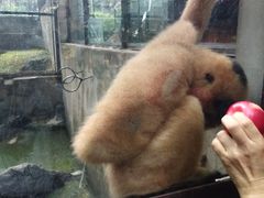 -昆明动物园