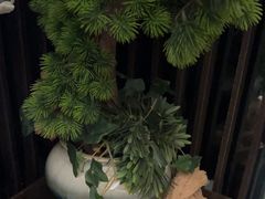 -见康道莱•足浴按摩•艾灸•SPA(友谊店)