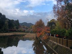 -岚山嵯峨野观光小火车
