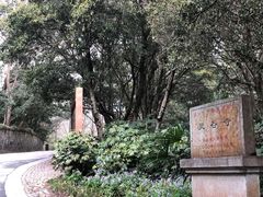 -灵谷景区