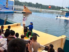 -秦皇岛乐岛海洋王国