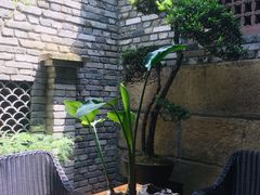 -鱼桥巷·美学川菜