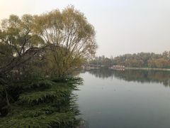 -百脉泉景区