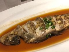 蒸玉秃鱼-宁海食府(大剧院店)