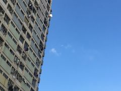 -彩虹村