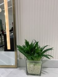 -梵创造型