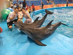 -尼莫海豚馆