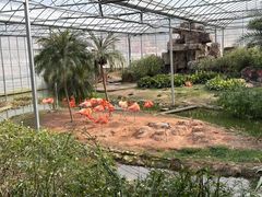 -无锡动物园·太湖欢乐园