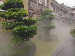 -新津老码头旅游小镇