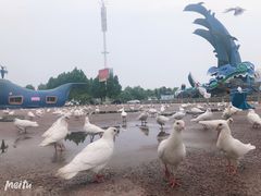 -泉城欧乐堡水上世界