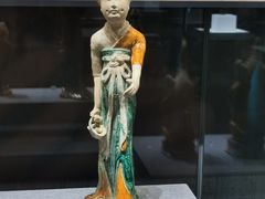 -四川大学博物馆