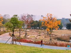 -盘龙城遗址博物院