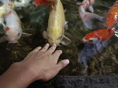 -海合安青岛极地海洋公园