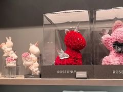 -ROSEONLY诺誓(国际广场购物中心店)