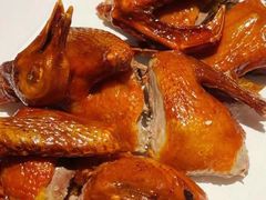 -鸽小宝(深圳首店)