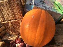 -红栌温泉山庄生态美食餐厅