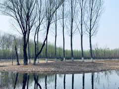 -东郊湿地公园