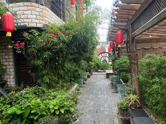 -慢丽江·云南野生菌土鸡锅(付家庄店)