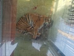 -栾川竹海野生动物园