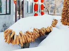 -雪谷