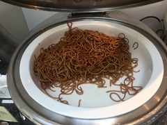 -虹桥机场国航贵宾室v8