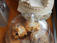 -Cafe del Volcan(永康路店)