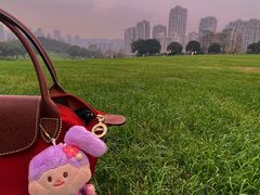 -重庆中央公园(渝北区)