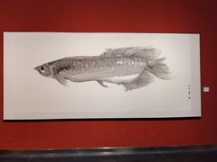 -江苏省美术馆(长江路新馆)