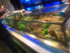 水产区-V-ONE西雅图海鲜自助餐厅(仓山万达广场店)