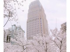 -西北湖绿化广场