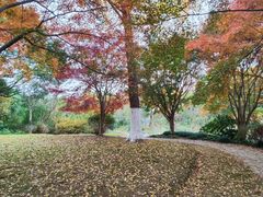 -昆山城市生态森林公园