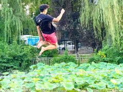 -海合安武汉极地海洋公园