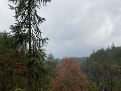 -梭布垭石林景区