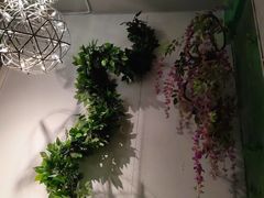 -百玺足道(柳沙店)