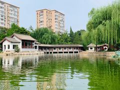 -团结湖公园