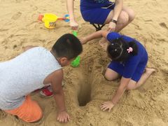 -珠海横琴长隆《卡卡虎奇遇记》