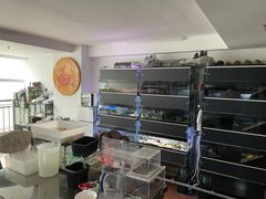 -灵龟之家百象馆(百象馆联合旗舰店)
