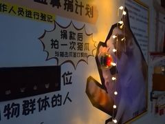 -平行世界·猫咖(首经贸店)